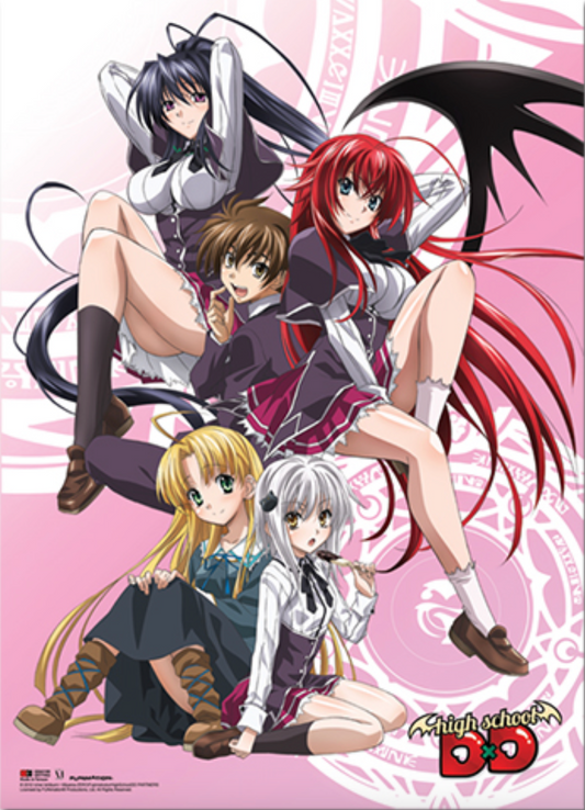 Wall Scroll - High School DxD